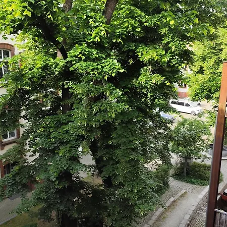 Cottbuser Ii Cottbus