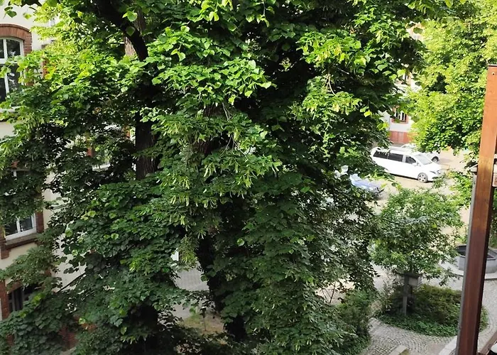 Cottbuser Ii Cottbus